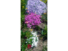 IMG 20200513 190214.jpg