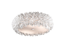 ������ 27556C 16000�.jpeg