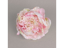 ������ �����, d - 20��