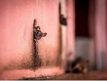 ��, ��� �� ���!