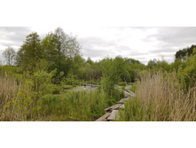 IMG 20200523 114438.jpg