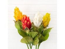 ������ h-75��