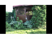 ����� 50�