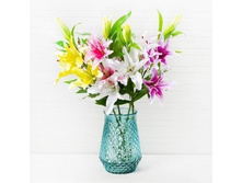 ����� ���������, 105 ��