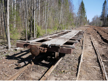 ���� ���������