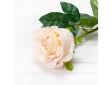 ���� ������������� h-80��