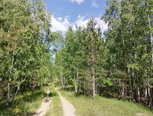 IMG 20200607 143100.jpg