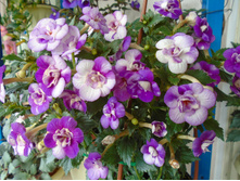 DSC04433.JPG