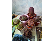 ����������))).