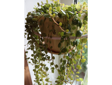 IMG 20200603 194850.jpg