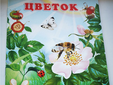 5eadb4b5860d0 img20200502202244.jpg