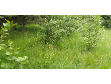 IMG 20200606 125622.jpg