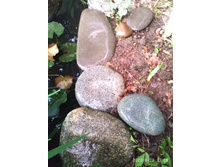 IMG 20200623 210954.jpg