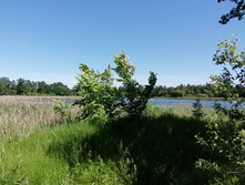 IMG 20200614 102810.jpg