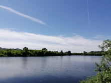 IMG 20200621 113149.jpg