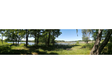 IMG 20200614 114357.jpg