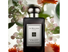 JASMINE SAMBAC & MARIGOLD  JO MALONE 100 �� 9200+%+����