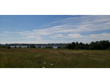 IMG 20200621 094258.jpg