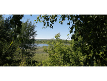 IMG 20200614 094701.jpg