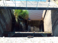 20200621 5 ������� 155300.jpg