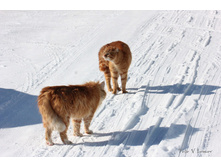 ����� �����!