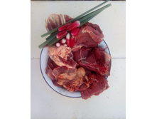 ������ �������