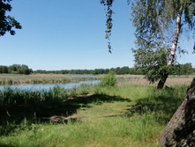 IMG 20200614 114429.jpg