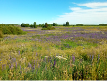 20200621 5 ������� 155558.jpg