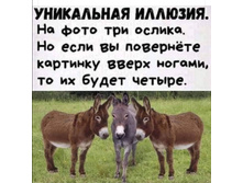 Screenshot 20200623 204306.jpg