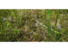 IMG 20200606 124133.jpg