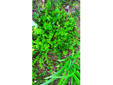 IMG 20200607 192340.jpg