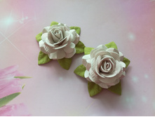 100 ��� �� 1 ��