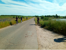 20200621 5 ������� 155130.jpg