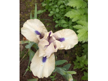 ���� ���������� ���� ���� ��. ���� ������