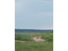 IMG 20200620 062731.jpg