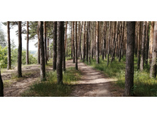 IMG 20200620 112242.jpg