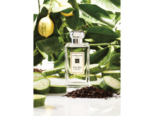 EARL GREY & CUCUMBER JO MALONE ��� 100 �� 6900+%+����