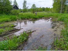 IMG 20200529 154436 HDR.jpg