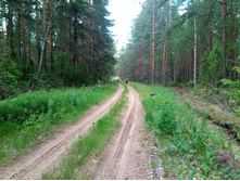 20200606 �� ����� ����� 1548.jpg