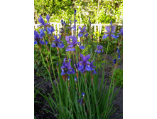 IMG 20200614 190755.jpg