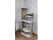 �������� ��� ����� "�������"