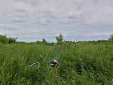 IMG 20200623 114229.jpg