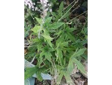 �������2