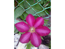 IMG 20200614 191239.jpg