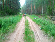 20200606 �� ����� ����� 1552.jpg