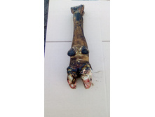 ���� �������