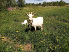 IMG 20200520 115020.jpg