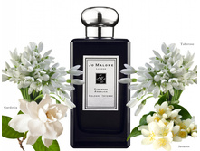 TUBEROSE ANGELICA  JO MALONE  100�� 8900+%+����