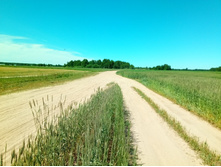 20200621 5 ������� 115443.jpg