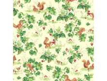 ����� �������� ��� ����